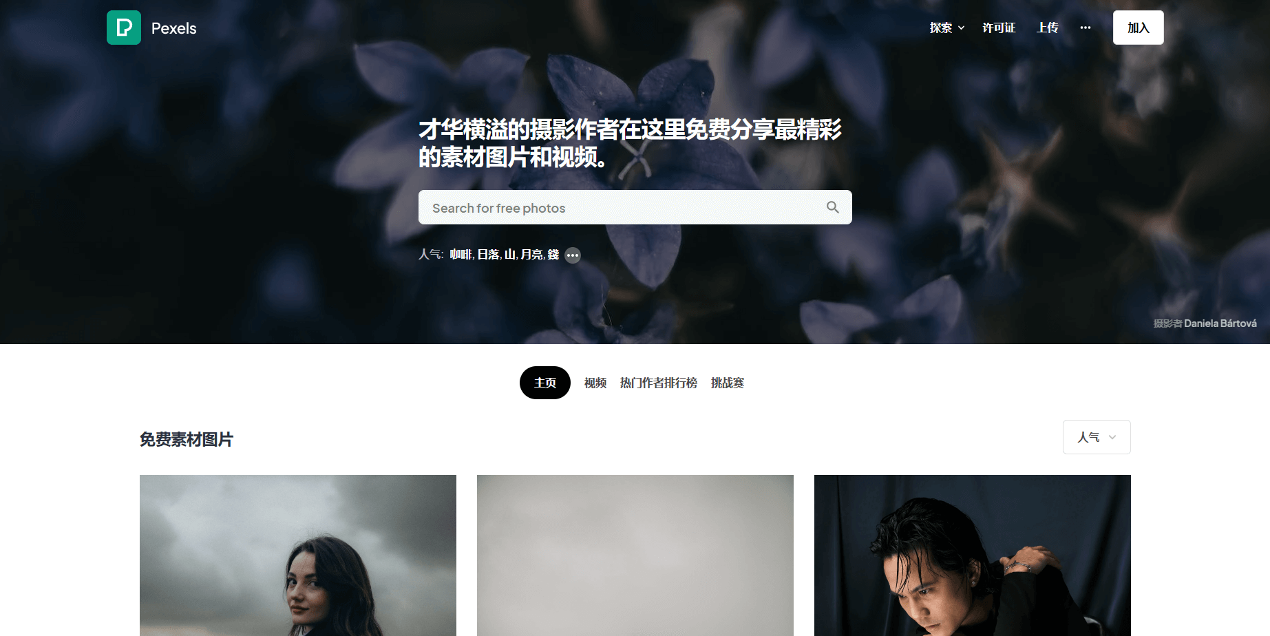 整理了10个免费可商用的无版权图库网站,设计师必备!
