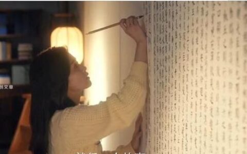女生写上林赋是什么意思，女生手抄上林赋给男朋友是什么梗
