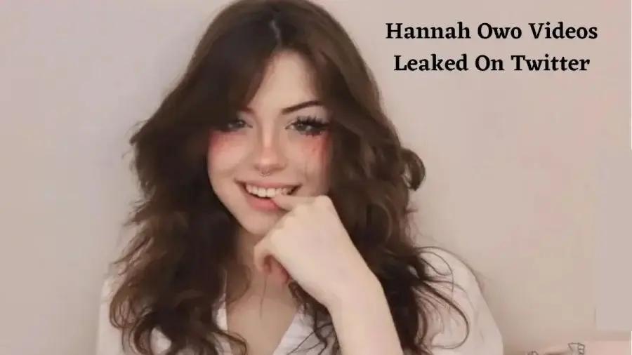 uwu吃鸡女孩叫什么,Hannah OwO吃鸡视频瓜是什么梗
