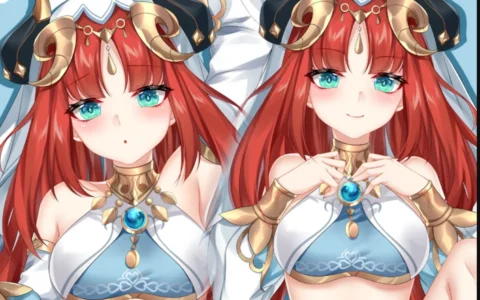 原神妮露开襟图片等身抱枕 这个梗是什么意思