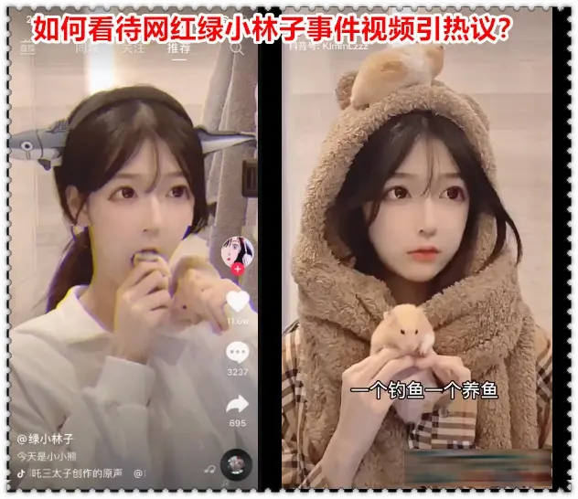 抖音网红绿小林子视频事件分析,绿小林子黑历史这是谣言