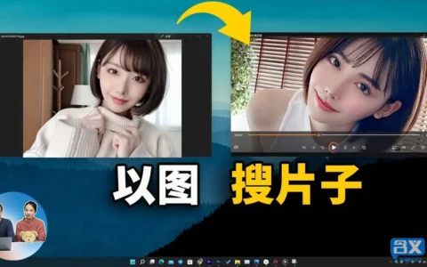 以图搜视频网站，以图搜番通过截图找到相关的视频！