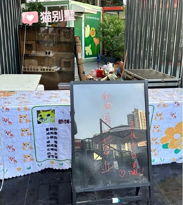 狗头萝莉回应被举报,穿着有曲线也不行 两个多月辗转3个城市