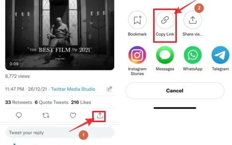苹果手机怎么下载推特视频 ios保存twitter视频的方法