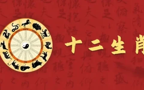 2024年属龙的全年运势怎么样，属龙人全年整体运势详解
