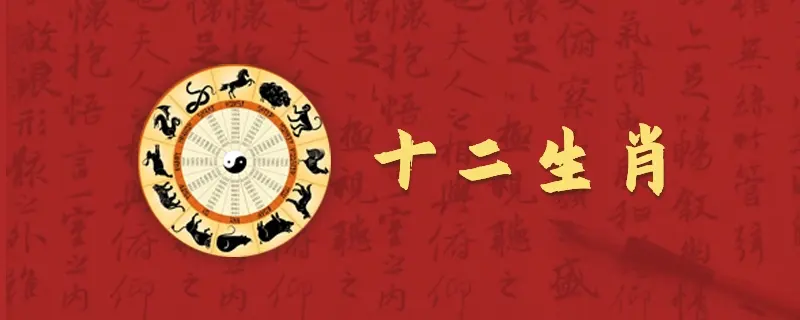 2024年属龙的全年运势怎么样,属龙人全年整体运势详解