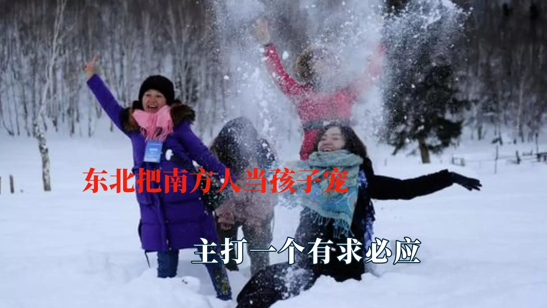 南方小土豆是什么梗?南方小土豆勇闯大东北