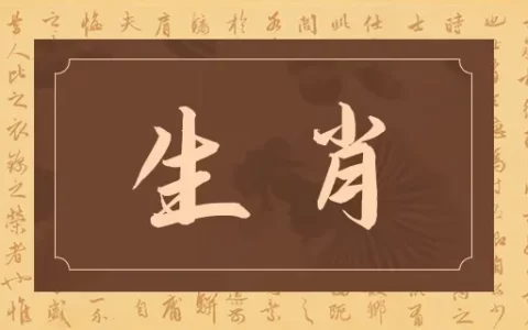 2025年属什么生肖