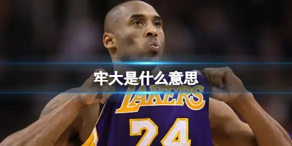 牢大是什么意思,牢大是什么梗