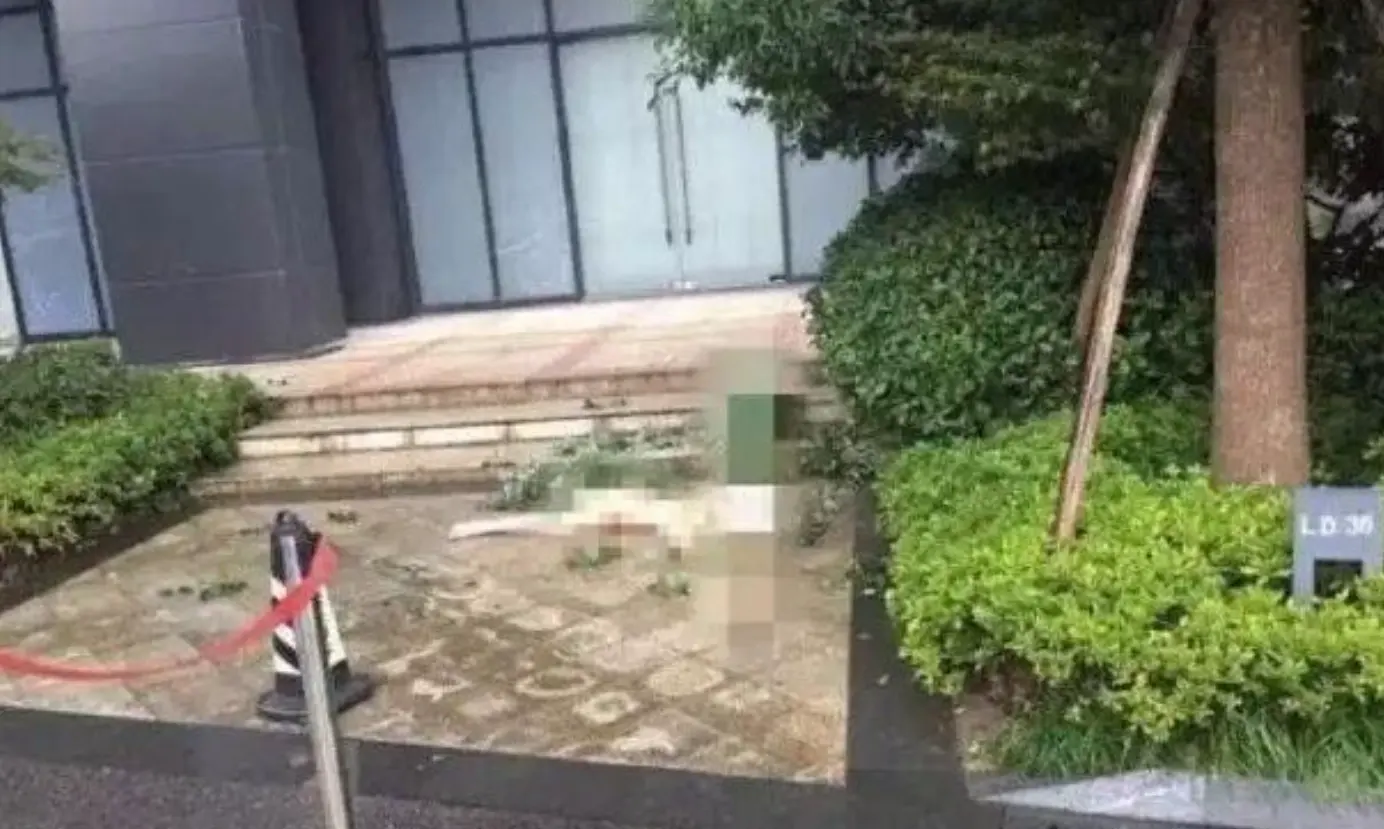 杨旭文和任娇发生了什么,任娇坠楼事件始末全过程