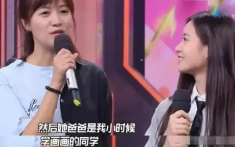 李庚希与徐静蕾的关系是什么，李庚希徐静蕾长得像吗