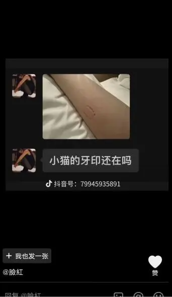 劲爆!网红山猫无名打破祖师爷童锦程CP最快塌房记录!