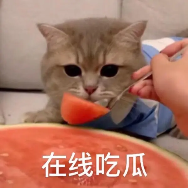 探索瓜神吃瓜 APP:满足您的八卦之心