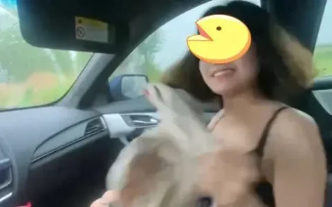 中北镇凯迪拉克销售14岁女孩视频事件完整版，女孩车里害羞照片是真的吗